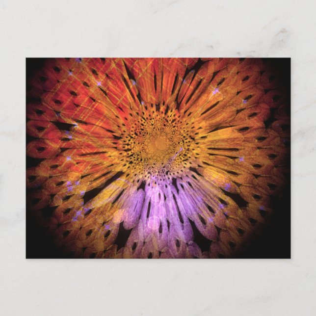 Postal única (Anverso)