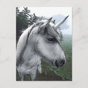 Postal Unicornio de Becky