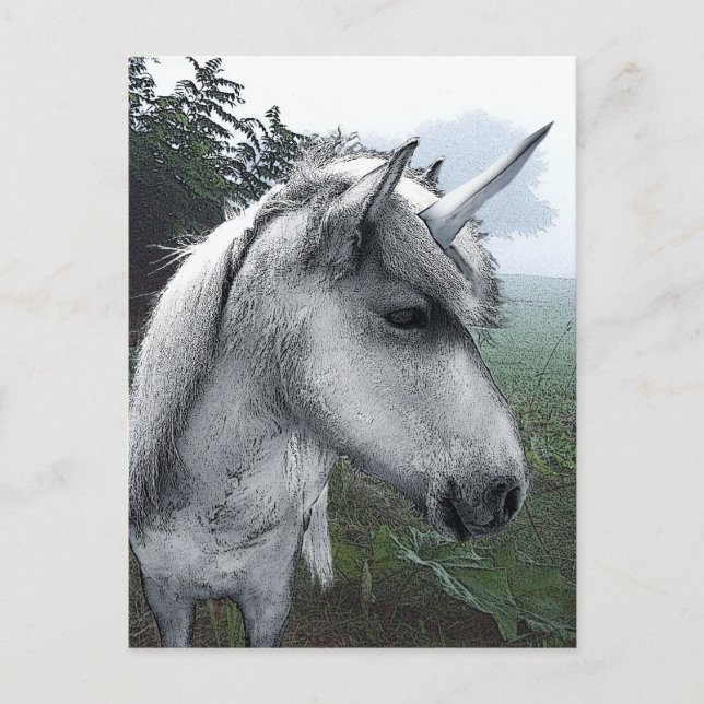 Postal Unicornio de Becky (Anverso)