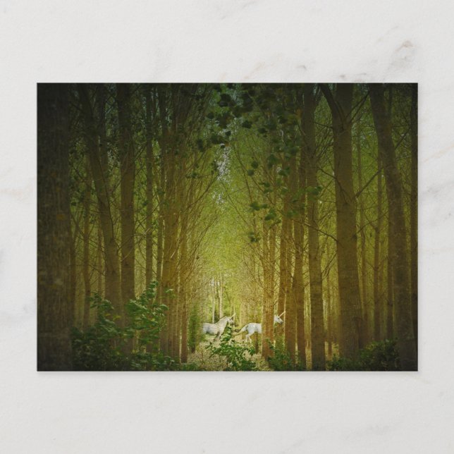 Postal Unicornios (Anverso)