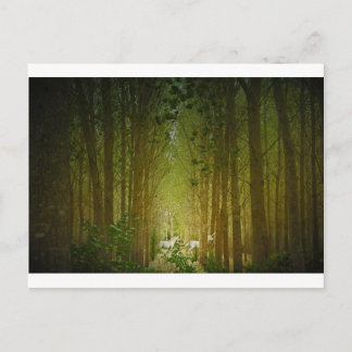 Postal Unicornios