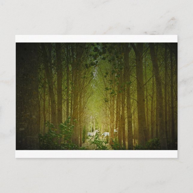 Postal Unicornios (Anverso)