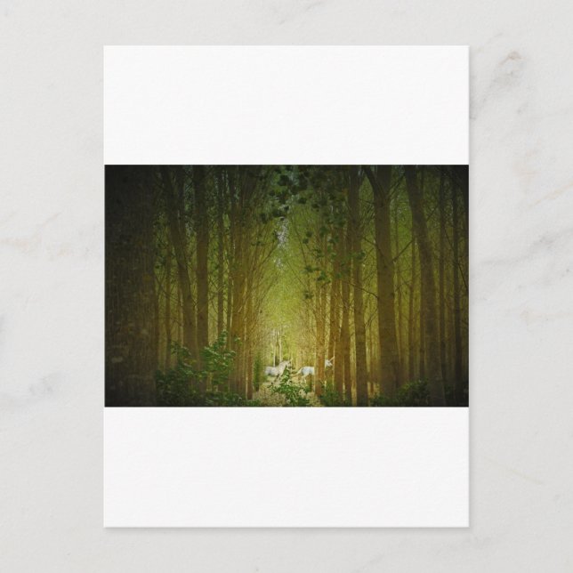 Postal Unicornios (Anverso)