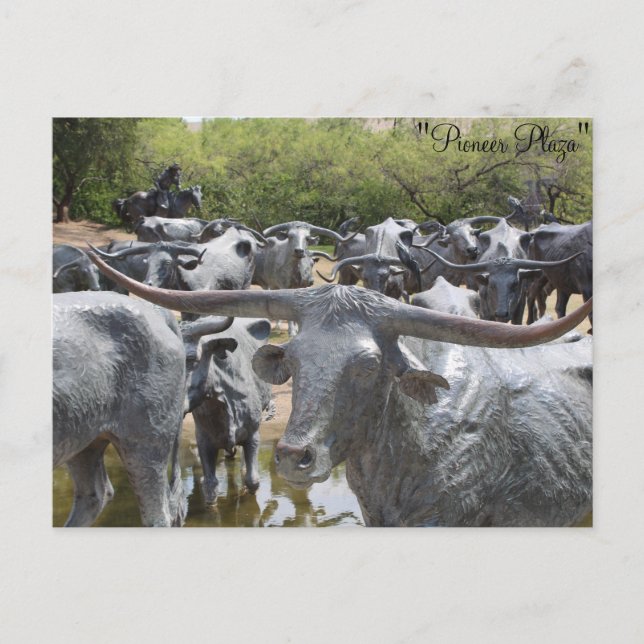Postal Unidad bovina nº 12 (Anverso)