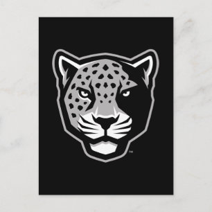 Postal Universidad A&M de Texas-San Antonio   Jaguares