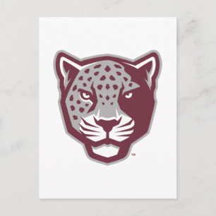 Postal Universidad A&M de Texas-San Antonio   Jaguares