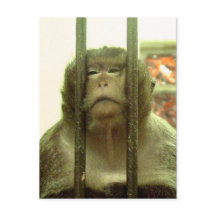 Uno de esos días......