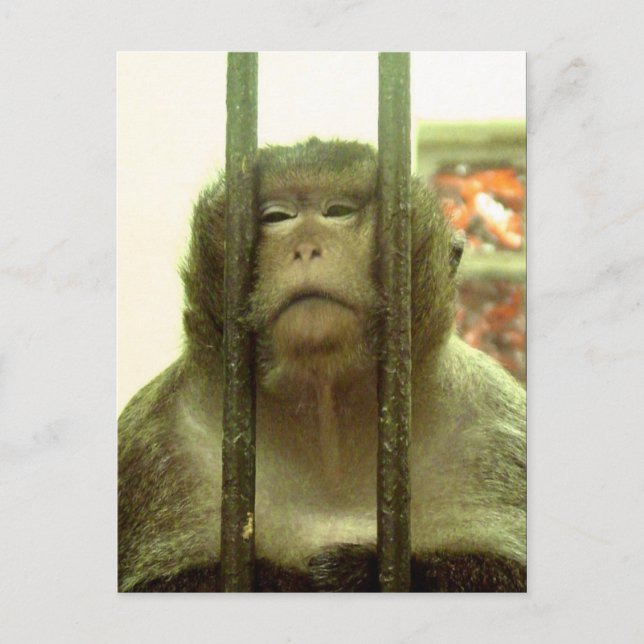 Postal Uno de esos días...... (Anverso)