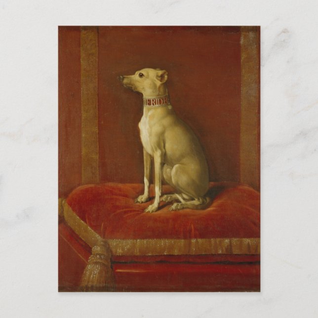 Postal Uno de los Greyhounds italianos de Frederick II (Anverso)