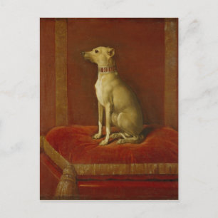 Postal Uno de los Greyhounds italianos de Frederick II