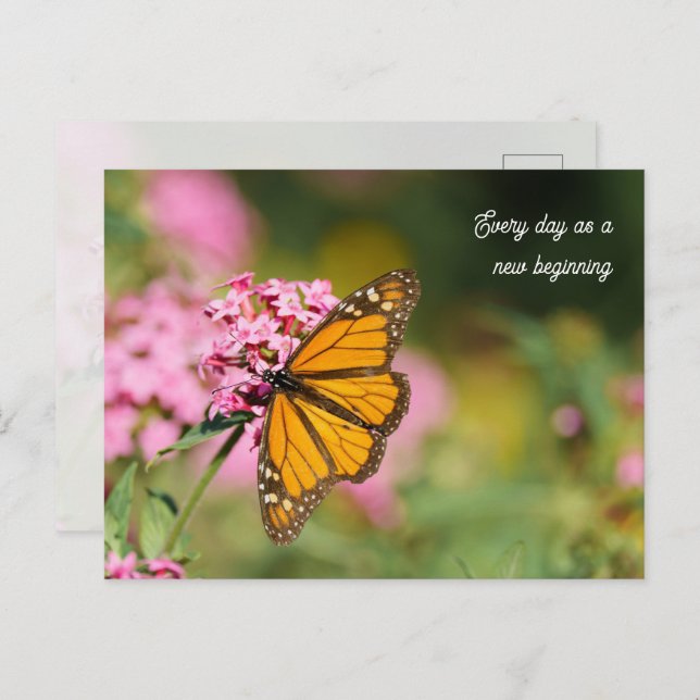 Postal Uplifting and Inspiratational monarch Butterfly  (Anverso / Reverso)