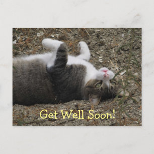Postal Upside Down Kitty Get Well Postcard