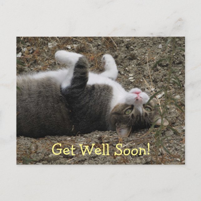 Postal Upside Down Kitty Get Well Postcard (Anverso)