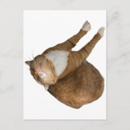 Postal Upside-Down Sunshine