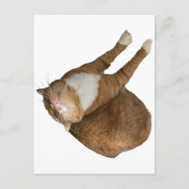 Postal Upside-Down Sunshine (Anverso)