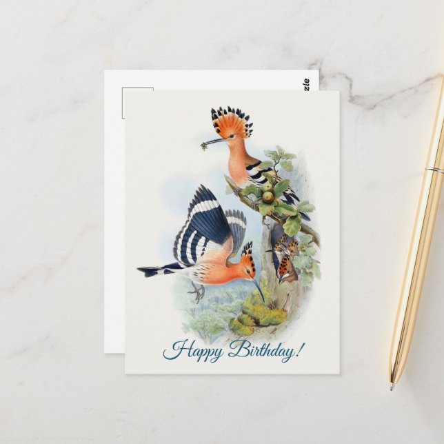 Postal Upupa Epops (Anverso/Reverso In Situ)