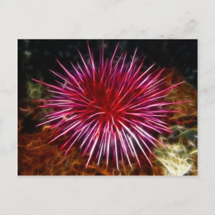 Postal Urchin de mar púrpura