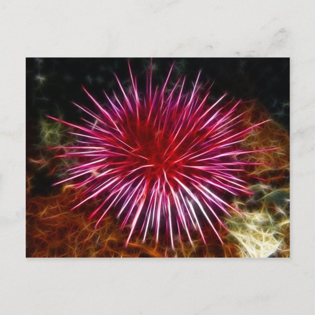 Postal Urchin de mar púrpura (Anverso)