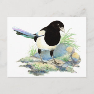 Postal Urraca linda - pájaro de la acuarela