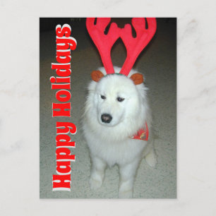 Postal Usar a sus Navidades de fotos Mascotas
