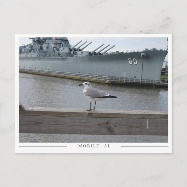 Postal USS Alabama & Seagull – Mobile, AL Recuerdo (Anverso)