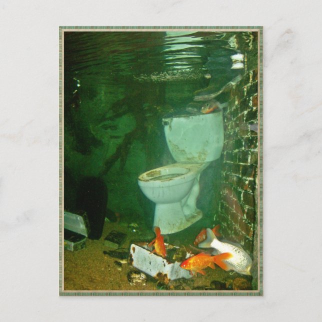 Postal Usted pensó que su vida era mala (Anverso)