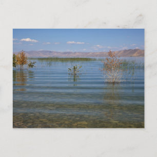Postal UT, Lago Bear