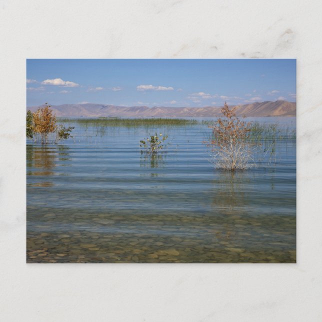 Postal UT, lago Bear (Anverso)