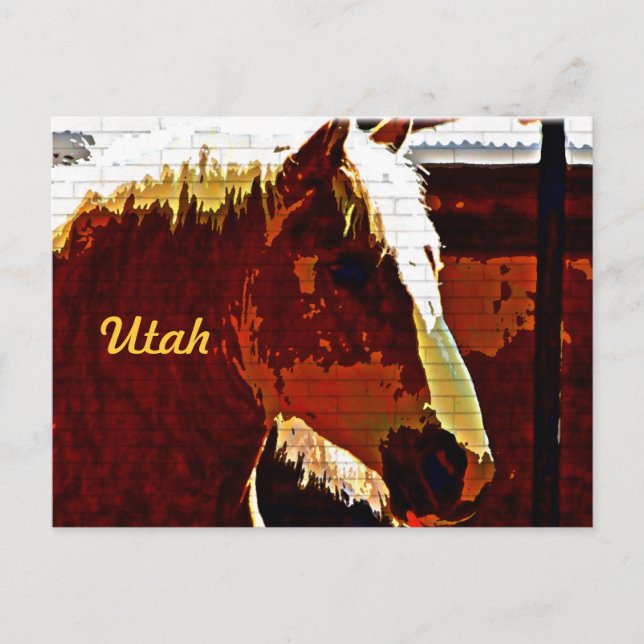 Postal Utah, Caballo De Sorrel En Postcard Perfil (Anverso)