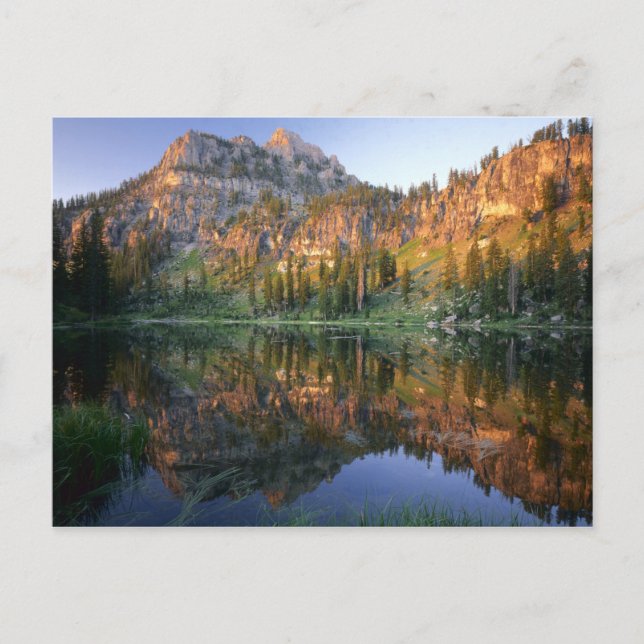 Postal UTAH. EE.UU. Mt. Magog reflejado en White Pine (Anverso)