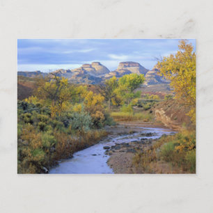Postal UTAH. EE. UU. Pleasant Creek en otoño al amanecer.