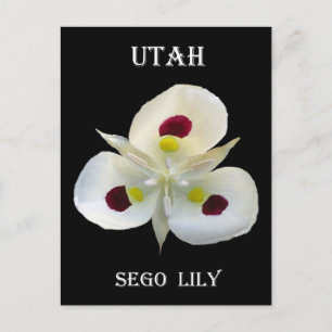 Postal Utah Sego Lily