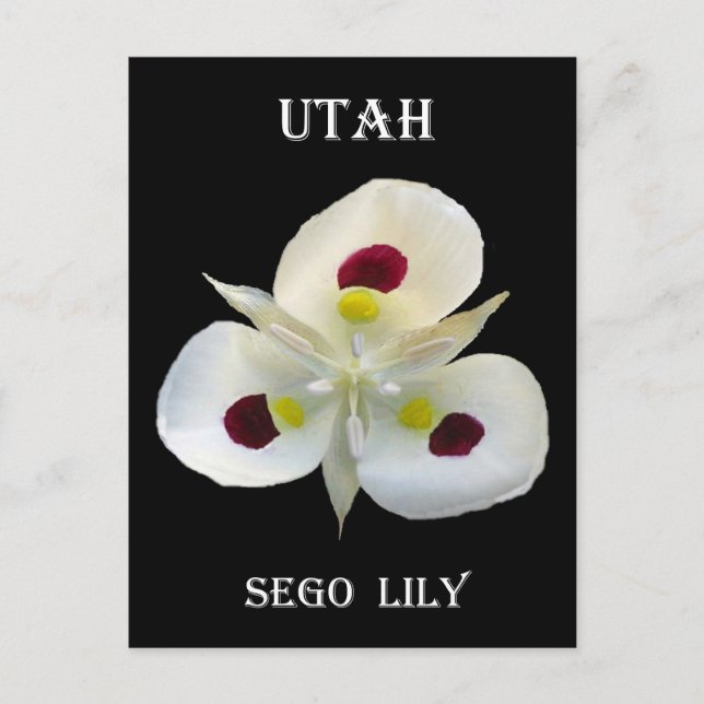 Postal Utah Sego Lily (Anverso)