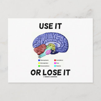 Postal Utilícelo O Pierda (Humor De Anatomía Cerebral Que