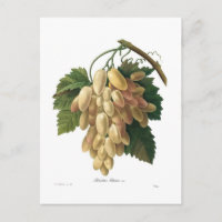 Uvas blancas