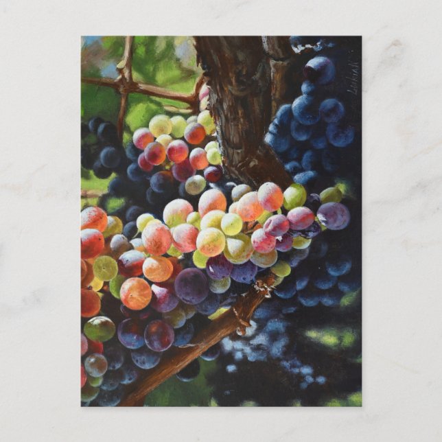 Postal Uvas de abundancia para amantes del vino y bodegas (Anverso)