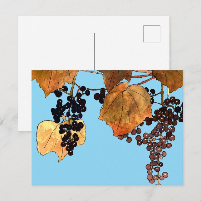 Postal Uvas de escarcha de Art Nouveau (Anverso / Reverso)