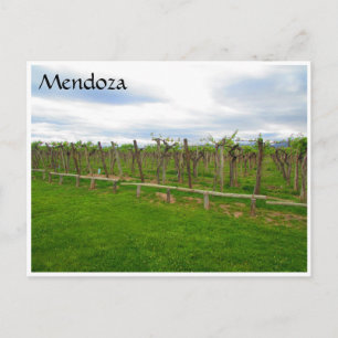 Postal uvas de la bodega mendoza
