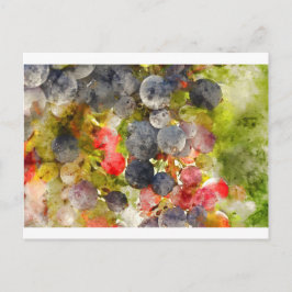 Postal Uvas en el vino preparadas para hacer vino