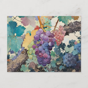 Postal Uvas en la vid
