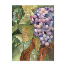 Uvas, fruta de la vid