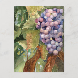 Postal Uvas, fruta de la vid
