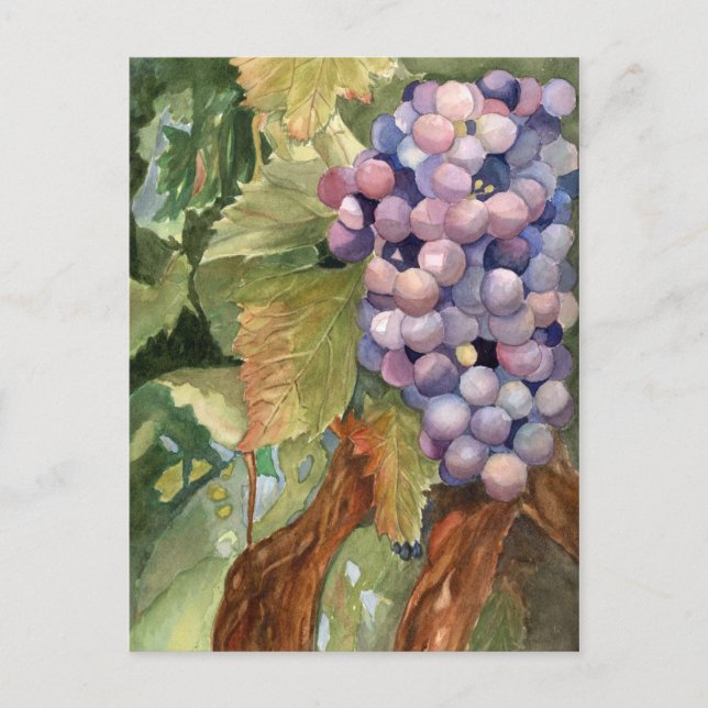 Postal Uvas, fruta de la vid (Anverso)