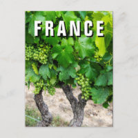 Uvas para vino en crecimiento, Francia