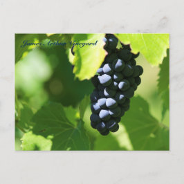Postal Uvas púrpuras del St. Croix de JAV 2014 100n