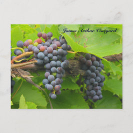 Postal Uvas violetas JAV St. Croix 2013 2n