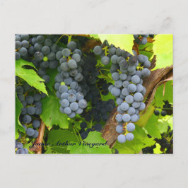 Postal Uvas violetas JAV St. Croix 2013 6