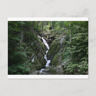 POSTAL VA DE LA CAÍDA DEL ÁRBOL CRABE