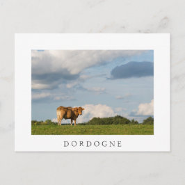 Postal Vaca de Blonde d'Aquitaine en la región de Dordogn