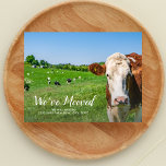 Postal Vaca divertida, casa nueva, dirección Personalizad<br><div class="desc">Hágale saber a tu familia y amigos que te has mudado y que tienes una nueva dirección con esta graciosa postal que muestra a una vaca diciendo "Nos hemos mudado" - añade una nota de personalizado y una nueva dirección a la parte de atrás. Gracioso, moderno, sencillo y fácil -...</div>